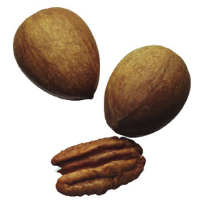 Pecans